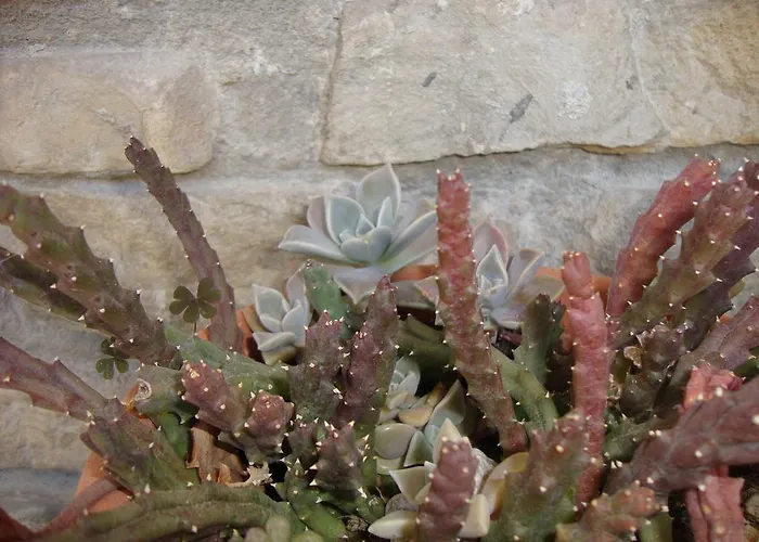 Nela And Vito Apartmán *