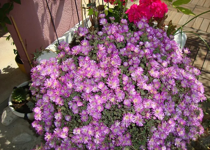 Nela And Vito Apartmán Split