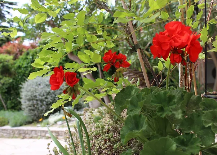 Nela And Vito Apartmán *