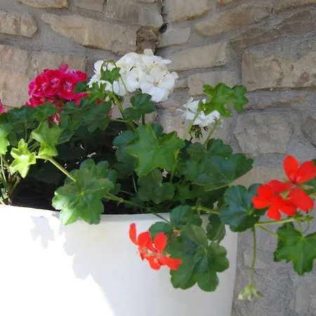 Nela And Vito 아파트