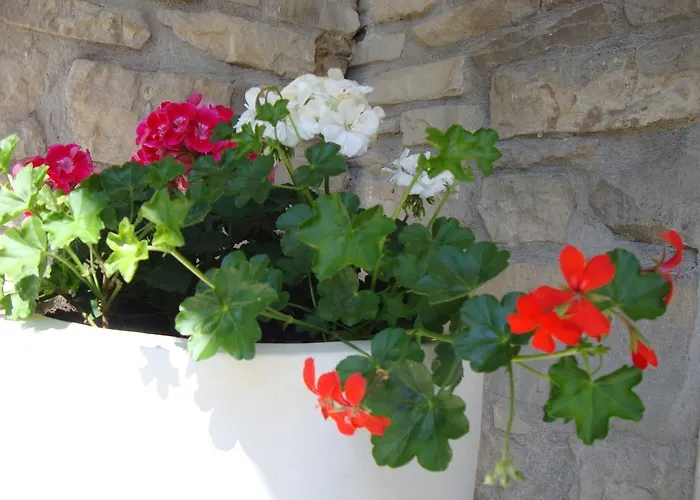 Nela And Vito Apartament